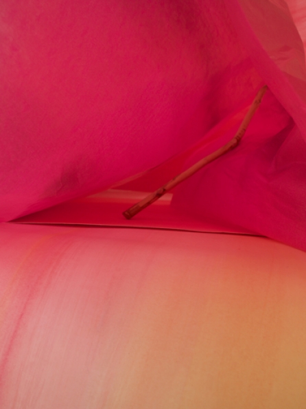 http://www.barbararink.nl/files/gimgs/th-48_BarbaraRink_2020_4_ASP.jpg