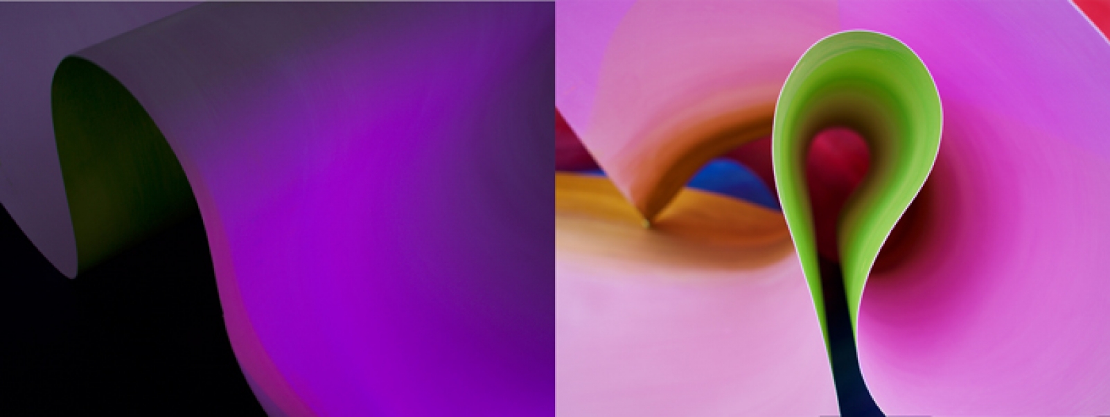 http://www.barbararink.nl/files/gimgs/th-51_STILL2_2020_BarbaraRink_WEB_v2.jpg