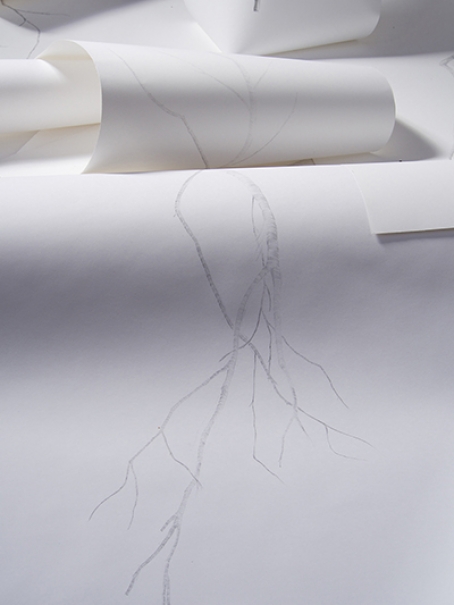 http://www.barbararink.nl/files/gimgs/th-6_cascade papier ffSwebsite.jpg