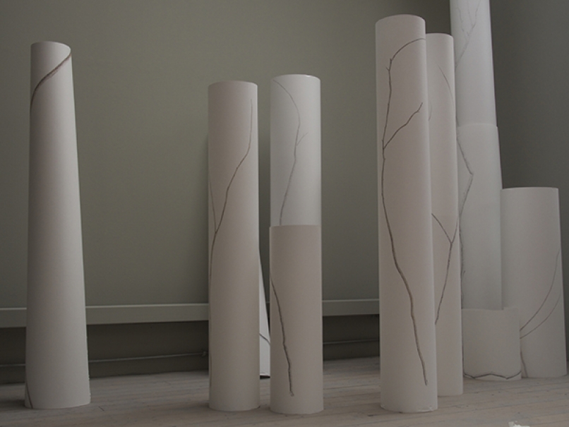 http://www.barbararink.nl/files/gimgs/th-6_Website forest field_v2.jpg